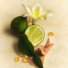 Scent Layering Trio - Home Choice